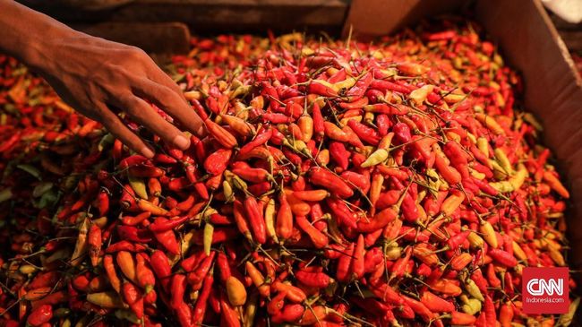 Harga cabai rawit merah mengalami kenaikan di sejumlah pasar. (Foto: dok/CNNIndonesia)