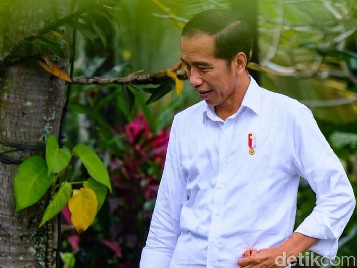 Presiden Joko Widodo. (Foto: detik.com)