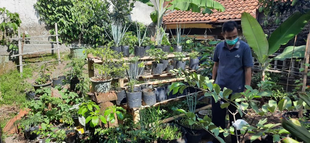 Lokasi Taman Pangan Keluarga Dusun IV Ganeas di Posyandu Mawar menadapat peninjauan langsung dari camat, sekcam, kepala puskesmas dan juga kapolsek Ganeas, Sabtu (23/1/2021). (Foto: IST)