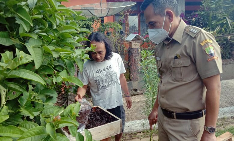BUDIDAYA : Roni Hidayat (kanan) saat menunjukkan proses budidaya madu teuweul yang siap panen kepada camat Rancakalong