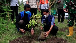 CAMAT Kadungora Ahmad Mawardi bersama Perwakilan Garut Edufarm Center Adit Kurniawan melangsungkan prosesi penanaman pohon, Sabtu.